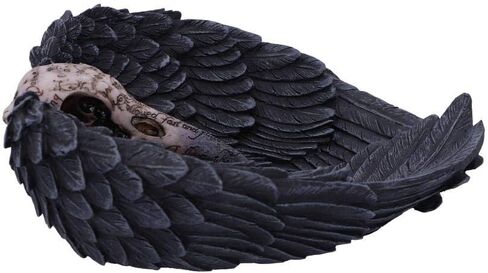 Nemesis Now Edgar Allen Poe's Nevermore Raven Skull Trinket Holder Jewellery Dish, Black, 17 cm in Saudi Arabia