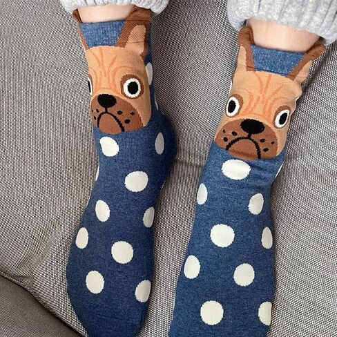 5 أزواج من الجوارب القابلة للتمدد على شكل حيوانات لطيفة على شكل قطة من KLCM للنساء، جوارب دائرية ممتعة ومبتكرة للفتيات، هدية عيد الميلاد للكلاب والثعلب والبومة والباندا in Kuwait