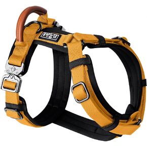 MADE TO ROAM Premium Explorer Harness - Y-Shaped Dog Harness with Adjustable Durable Nylon, Soft Padding, Metal Buckles and Leather Handle for Small, Medium, Large Dogs (Colorado Nightsky, Size 5)
