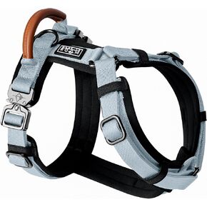 MADE TO ROAM Premium Explorer Harness - Y-Shaped Dog Harness with Adjustable Durable Nylon, Soft Padding, Metal Buckles and Leather Handle for Small, Medium, Large Dogs (Colorado Nightsky, Size 5)