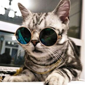 Coolrunner Cute and Funny Pet Sunglasses Classic Retro Circular Metal Prince Sunglasses for Cats or Small Dogs Fashion Costume