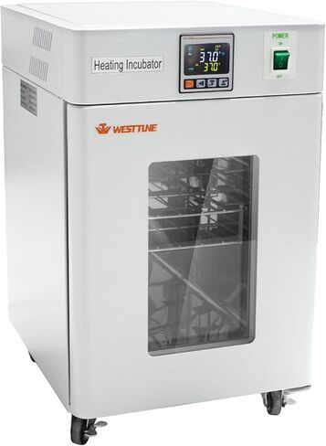 حاضنة مختبر WEST TUNE بسعة 18 لترًا للعلوم الطبية لإنبات بذور الثقافة البكتيرية، حاضنة الزواحف RT-66 درجة مئوية، حاضنة رقمية PID للتحكم في درجة الحرارة، حاضنة بيض الزواحف in Kuwait