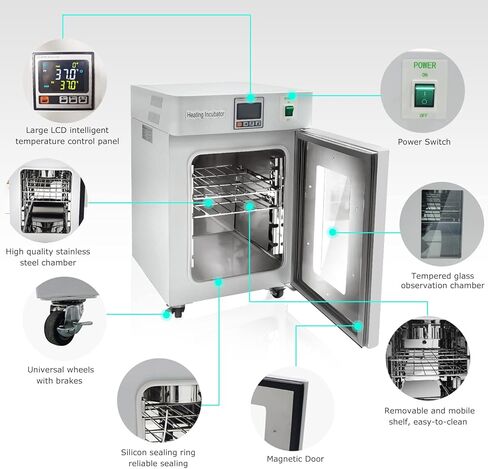 حاضنة مختبر WEST TUNE بسعة 18 لترًا للعلوم الطبية لإنبات بذور الثقافة البكتيرية، حاضنة الزواحف RT-66 درجة مئوية، حاضنة رقمية PID للتحكم في درجة الحرارة، حاضنة بيض الزواحف in Kuwait