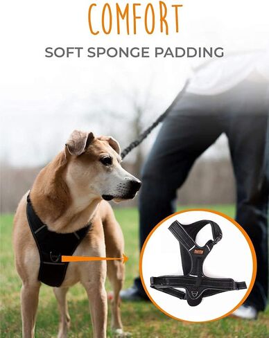 Mighty Paw Sport Harness - No-Pull Front Attachment - Neoprene Padded Lining - Reflective Stitching - Two Leash Attachment Options - Weather-Proof Harness - Adjustable Dog Harness (X-Small, Black) in Saudi Arabia