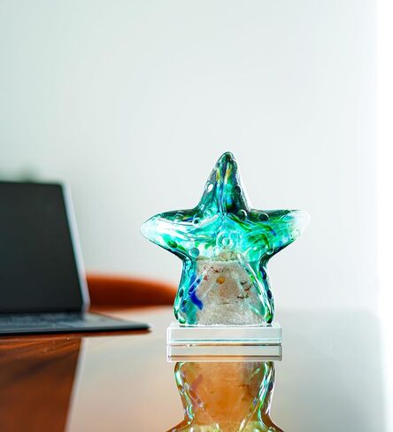 H&D HYALINE & DORA Glass Blown Art Sea Shell Paperweight, Hand Blown Glass Seashell Fish Tank Paperweight Gift in Saudi Arabia