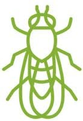 BUGGINS Original - Insect Repellent - Gnats & Mosquitoes, DEET Free, Non-Greasy - 4 oz Pump Spray Bottle in Saudi Arabia