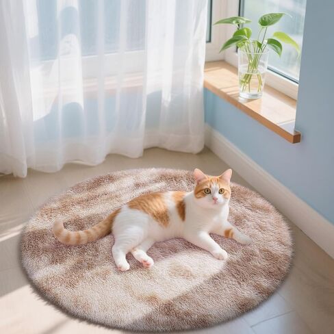 OLANLY Area Rugs for Living Room Bedroom, Machine Washable 3x5 Feet Soft Fluffy Shaggy Bedside Rug, Indoor Floor Carpet for Kids Girls and Boys, Nursery Room, Home Decor Aesthetic, Purple Rainbow in Kuwait
