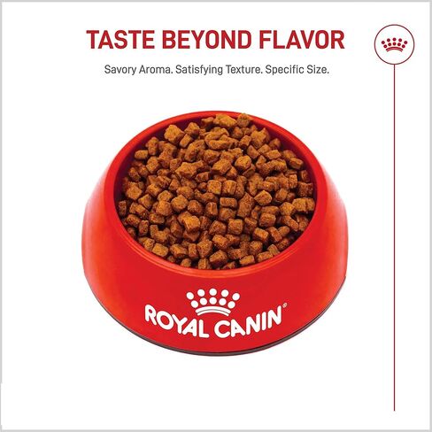 Royal Canin Yorkshire Terrier Adult Dry Dog Food, 10 lb bag in Kuwait