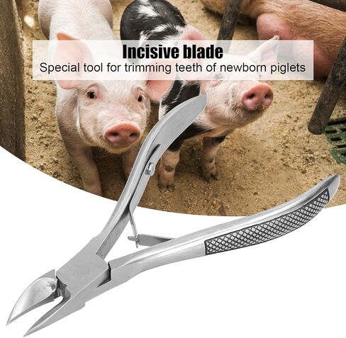 Haofy Pig Tooth Cutting Pliers, Stainless Steel, Ergonomic Handle, 13cm x 2.4in, 73g in Saudi Arabia