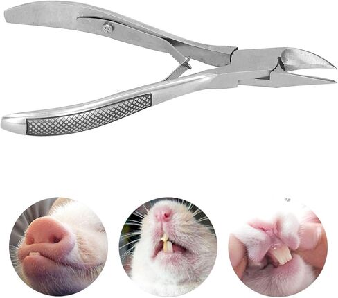 Haofy Pig Tooth Cutting Pliers, Stainless Steel, Ergonomic Handle, 13cm x 2.4in, 73g in Saudi Arabia