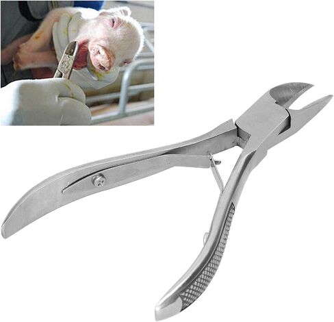 Haofy Pig Tooth Cutting Pliers, Stainless Steel, Ergonomic Handle, 13cm x 2.4in, 73g in Saudi Arabia