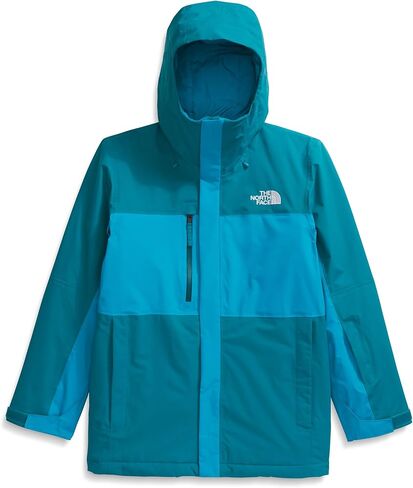 سترة معزولة للحرية من THE NORTH FACE للرجال | معطف شتوي بلمسة نهائية طاردة للماء، وغطاء رأس متوافق مع الخوذة، وجيوب بسحاب in Saudi Arabia