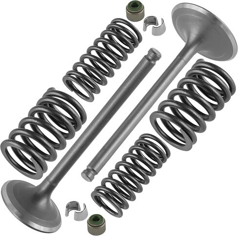 Caltric 14711-HR6-MF0 14721-HR6-MF0 14761-HP0-A00 Intake & Exhaust Valve Kit Compatible with Honda in Saudi Arabia