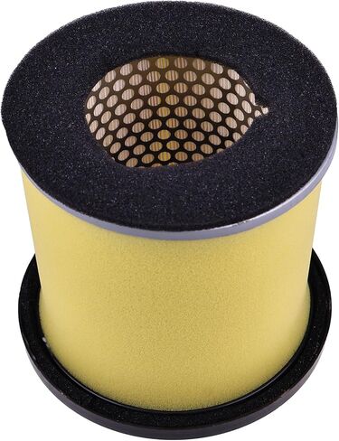 منظف ​​مرشح الهواء 13780-31G30 13780-31G00 13780-31G10 13780-31G20 متوافق مع KingQuad LTA 450 500 700 750 in Kuwait