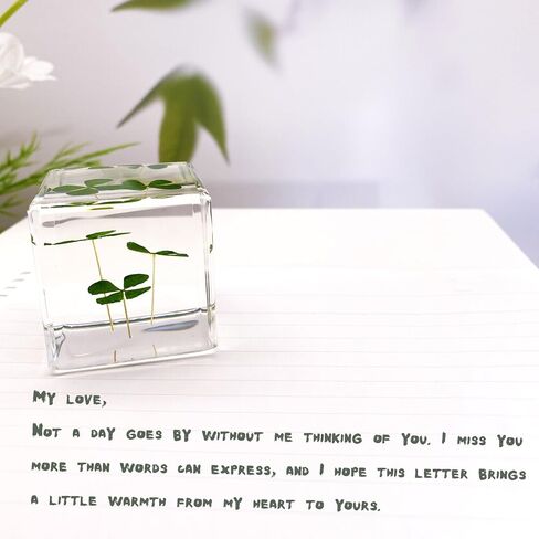 مكعب راتنج أكريليك ثقالة الورق مع زهرة أبدية محفوظة، أربع أوراق البرسيم داخل 4 سم مكعب أخضر جمالي رف نباتات ديكور مكتب الحلي ديكور لصديقتك in Kuwait