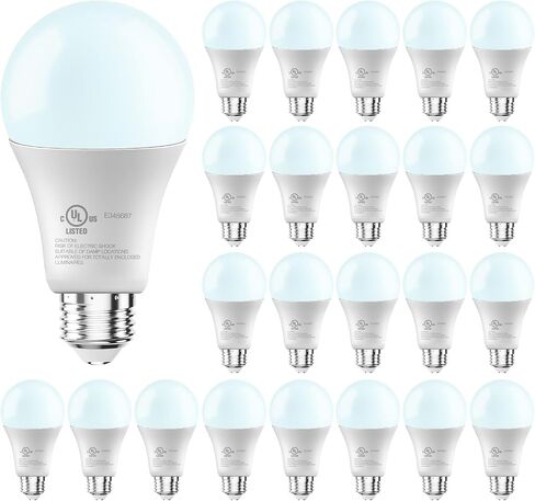 DayBetter 12 Pack A19 LED Light Lights ، 100 Watt Indiverse LED ، Long Long Long High Brightness 1500lm Daylight White 5000K ، E26 Light Light Light in Kuwait
