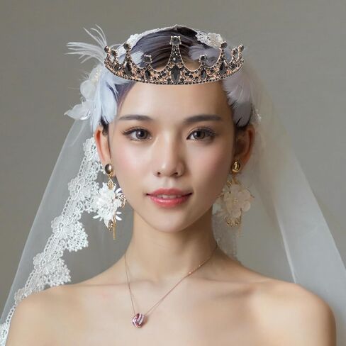 Beaupretty Black Tiaras for Women Bridal Crown Headband Black Crystal Wedding Tiara Party Decorative for Halloween Birthday Prom in Saudi Arabia