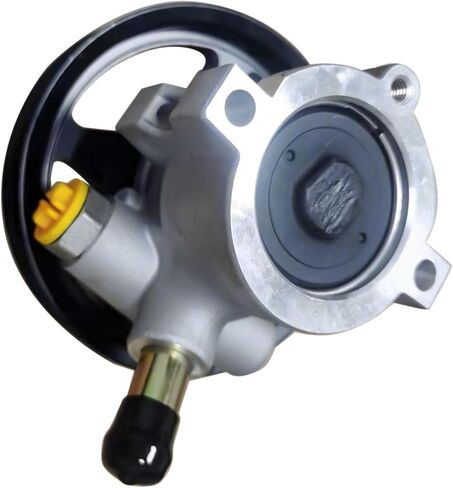 استبدال مضخة التوجيه السلطة لشيفي كورفيت C5 V8 5.7L 6.0L 6.2L 7.0L البنزين ث/س خزان 25960709 19421325 12568997 in Saudi Arabia