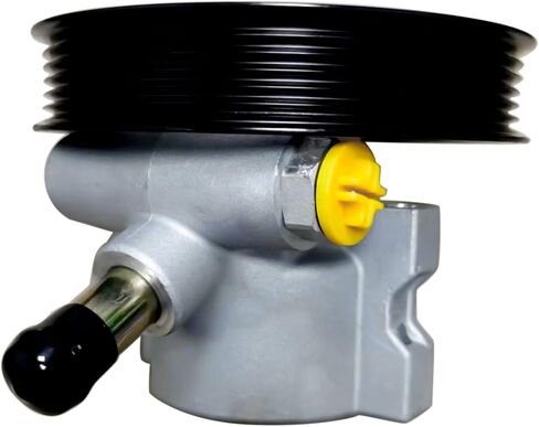 استبدال مضخة التوجيه السلطة لشيفي كورفيت C5 V8 5.7L 6.0L 6.2L 7.0L البنزين ث/س خزان 25960709 19421325 12568997 in Saudi Arabia