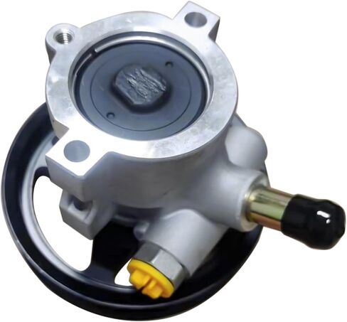 استبدال مضخة التوجيه السلطة لشيفي كورفيت C5 V8 5.7L 6.0L 6.2L 7.0L البنزين ث/س خزان 25960709 19421325 12568997 in Saudi Arabia