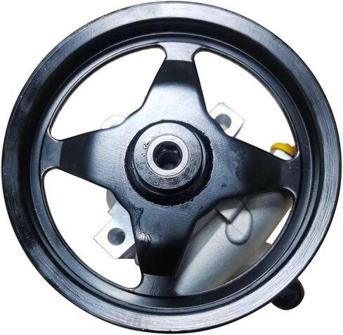 استبدال مضخة التوجيه السلطة لشيفي كورفيت C5 V8 5.7L 6.0L 6.2L 7.0L البنزين ث/س خزان 25960709 19421325 12568997 in Saudi Arabia