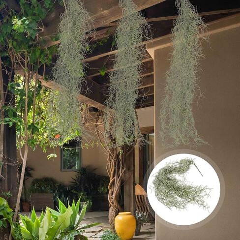 36 Inch Hanging Moss Decor - 1 Pcs Fake Moss - Artificial Plastic Spanish Dried Hanging Vine for Potted Plants Crafts Green Vines in Saudi Arabia