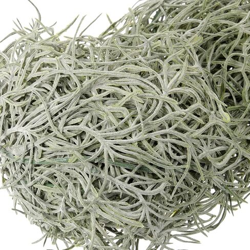 36 Inch Hanging Moss Decor - 1 Pcs Fake Moss - Artificial Plastic Spanish Dried Hanging Vine for Potted Plants Crafts Green Vines in Saudi Arabia