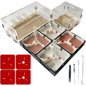 Ant Farm Nest Science DIY Terrarium Kit Care for Live Ants Ant Habitat with Water Tower Nurturing Room and Comprehensive Observation-Set 1
