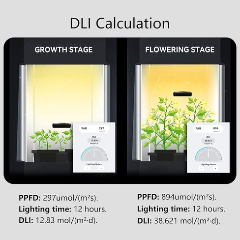 VBR-300-PAR Meter Red and Blue PAR Seperately 6000umol/(㎡s) DLI Calc PAR Distribution Test in Kuwait
