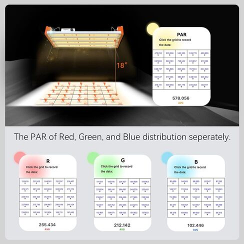 VBR-300-PAR Meter Red and Blue PAR Seperately 6000umol/(㎡s) DLI Calc PAR Distribution Test in Kuwait