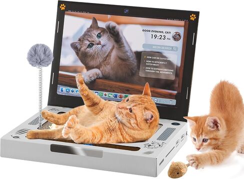 Morikey 4 in 1 Cat Scratcher، وسادة خدش للقطط لحماية الكمبيوتر المحمول، ألعاب هريرة مع ألعاب تفاعلية "ماوس" رقيق، عصا دعابة للقطط، كرة جرس للقطط، ملصقات الكمبيوتر المحمول/القطط العاملة على وسائل التواصل الاجتماعي in Kuwait