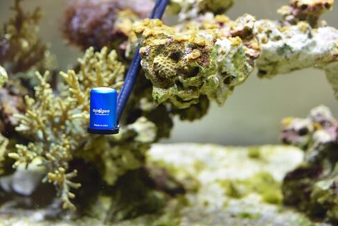 Apogee Instruments AM-320 Water Submersible Sensor Wand in Kuwait