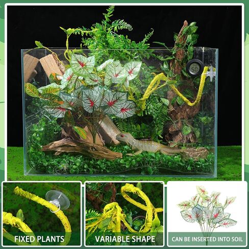 تشتمل ملحقات خزان FineCheer Leopard Gecko على نبات الزواحف الاصطناعية المعلقة ونباتات الزواحف والزواحف وأوعية الطعام والماء ومقياس الحرارة الرقمي للرطوبة لسحلية التنين وأفعى أبو بريص in Kuwait