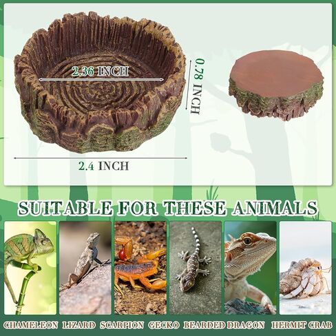 تشتمل ملحقات خزان FineCheer Leopard Gecko على نبات الزواحف الاصطناعية المعلقة ونباتات الزواحف والزواحف وأوعية الطعام والماء ومقياس الحرارة الرقمي للرطوبة لسحلية التنين وأفعى أبو بريص in Kuwait