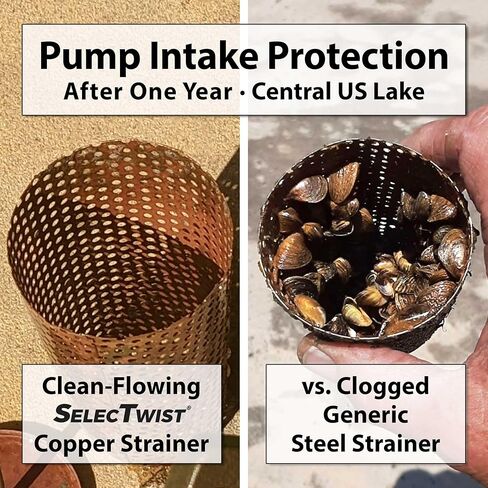 FOOT VALVE - 2" One-Way With ZEBRA MUSSEL Strainer Made of Solid Copper - For Your Irrigation Pump in Saudi Arabia