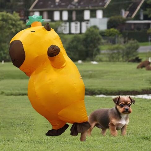 Adult Capybara Inflatable Costume Funny Blow Up Animal Suit for Halloween Christmas Party Outdoor Events Fits 65in to 78in Adjustable Waist (No Battery Included) in Saudi Arabia