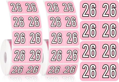 Teling 1000 Pieces 2025 Year Stickers File Folder Year Labels Rectangle Coded Colored Year Stickers Self Adhesive Year Label End Labels Office Supplies, 2 Roll, 3/4" x 1-1/2"(Pink) in Saudi Arabia