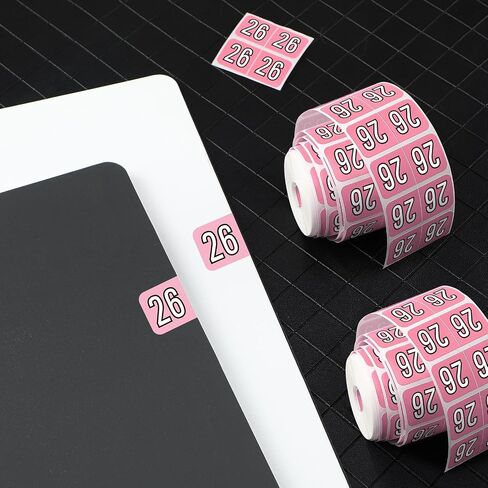 Teling 1000 Pieces 2025 Year Stickers File Folder Year Labels Rectangle Coded Colored Year Stickers Self Adhesive Year Label End Labels Office Supplies, 2 Roll, 3/4" x 1-1/2"(Pink) in Saudi Arabia