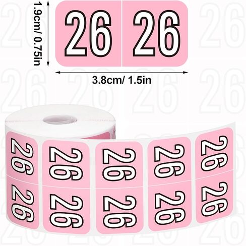 Teling 1000 Pieces 2025 Year Stickers File Folder Year Labels Rectangle Coded Colored Year Stickers Self Adhesive Year Label End Labels Office Supplies, 2 Roll, 3/4" x 1-1/2"(Pink) in Saudi Arabia