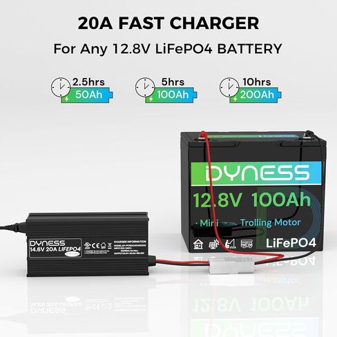 شاحن بطارية ليثيوم 12 فولت 20 أمبير، شحن سريع 14.6 فولت بطارية LiFePO4 شاحن AC-DC مع شحن 3 مراحل، حماية متعددة، موصل أندرسون مثالي لبطاريات ليثيوم LiFePO4 12 فولت in Kuwait