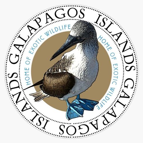 Galapagos Islands Blue Footed Booby Sticker Bumper Sticker Vinyl Decal 5" in Saudi Arabia