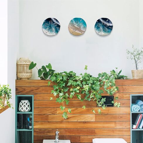 Jetec Sand Dollar Wall Decor 3 Pcs Beach Coastal Wall Art Wood Outdoor Ocean Sand Dollars Decor Wooden Art Teal Seafoam Decoration for Home Bathroom Decoration (Delicate Style) in Saudi Arabia