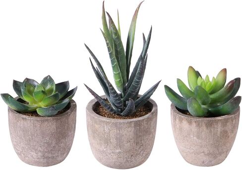 Ounona 3pcs Artificial Succulent Plants Set with Pots - Realistic Faux Mini Succulents for Home, Office, and Aesthetic Decor - Perfect for Desk, Living Room, and Bathroom in Saudi Arabia