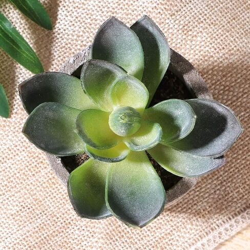 Ounona 3pcs Artificial Succulent Plants Set with Pots - Realistic Faux Mini Succulents for Home, Office, and Aesthetic Decor - Perfect for Desk, Living Room, and Bathroom in Saudi Arabia