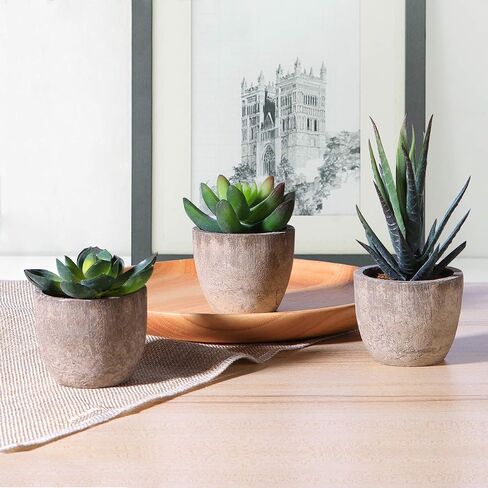 Ounona 3pcs Artificial Succulent Plants Set with Pots - Realistic Faux Mini Succulents for Home, Office, and Aesthetic Decor - Perfect for Desk, Living Room, and Bathroom in Saudi Arabia