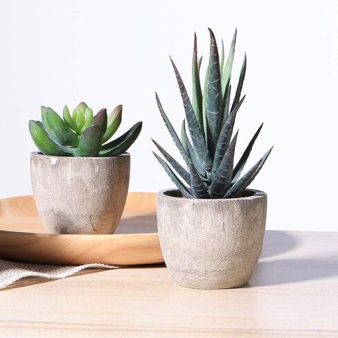 Ounona 3pcs Artificial Succulent Plants Set with Pots - Realistic Faux Mini Succulents for Home, Office, and Aesthetic Decor - Perfect for Desk, Living Room, and Bathroom in Saudi Arabia