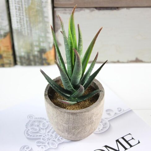 Ounona 3pcs Artificial Succulent Plants Set with Pots - Realistic Faux Mini Succulents for Home, Office, and Aesthetic Decor - Perfect for Desk, Living Room, and Bathroom in Saudi Arabia