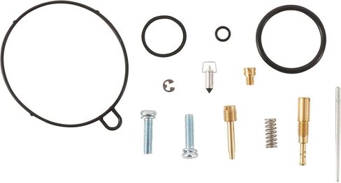 All Balls 26-10154 Carburetor Rebuild Kit Compatible With/Replacement For Can-Am DS 90 4 STROKE 2008-2022, DS 90X 4 STROKE 2009-2022 in Saudi Arabia