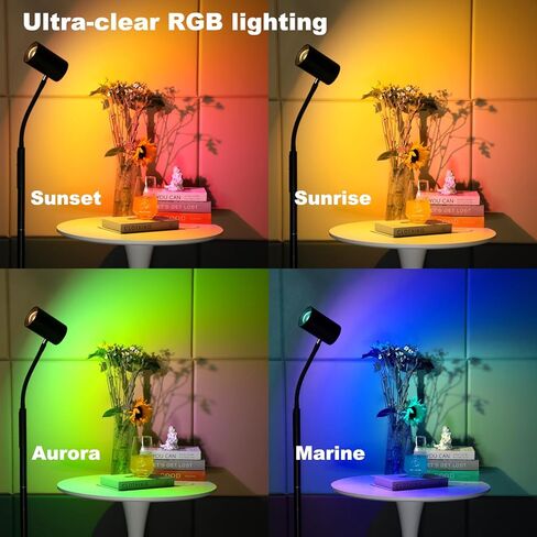 GLOWRIUM LED Floor Lamp, Professional Eye-Caring Reading Light, 360° Rotating Gooseneck Lamp, 5 Color Temperatures and Stepless Dimming, No Blue Light, No Glare, No Flicker, and Uniform Illumination in Kuwait