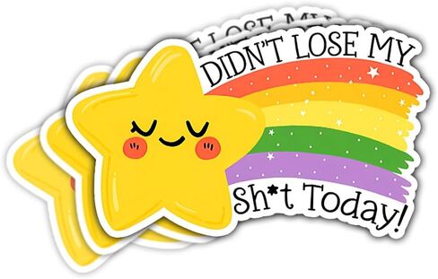 (3Pcs) Didn't Lose My Sh*t Today Sticker, Funny Star Bumper Sticker, Gold Star Stickers, Rainbow Vinyl Stickers, Inspirational Quote Decal - Sticker for Laptop Water Bottle Phone Hard Hat 3" in Saudi Arabia